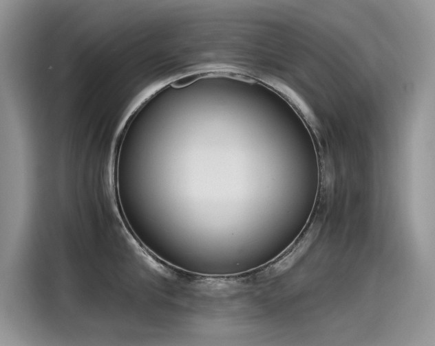 X0000115440910200911121121