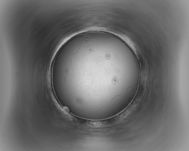 X0000115440911200911121121