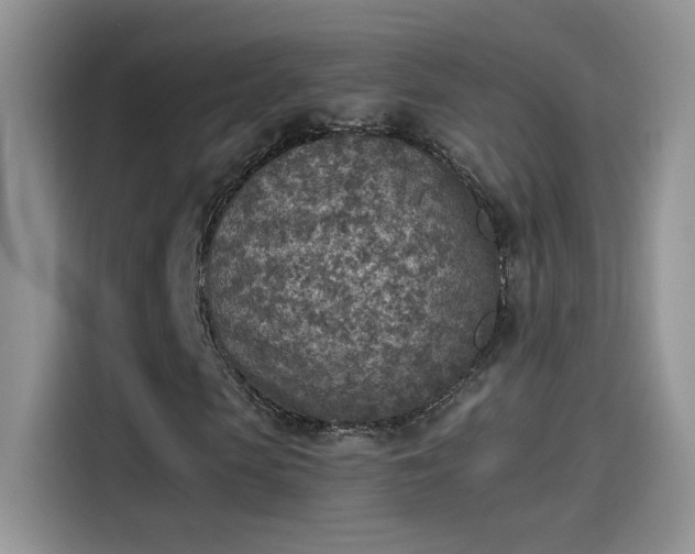 X0000115440913200911121120