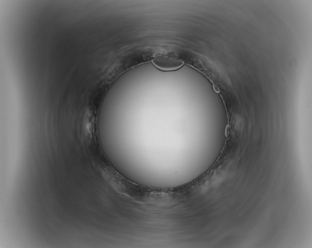 X0000115440914200911121120