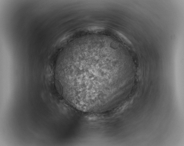 X0000115440917200911121120