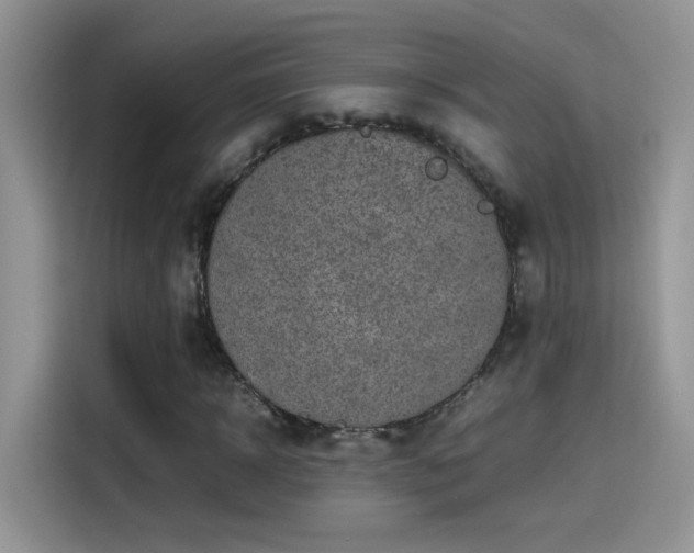 X0000115440918200911121120