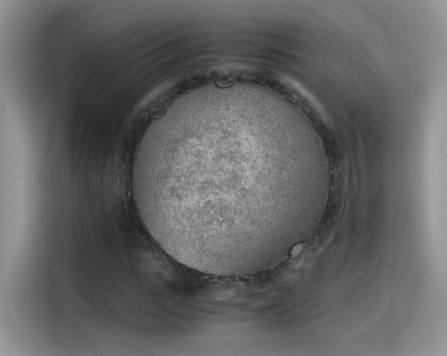 X0000115440919200911121120