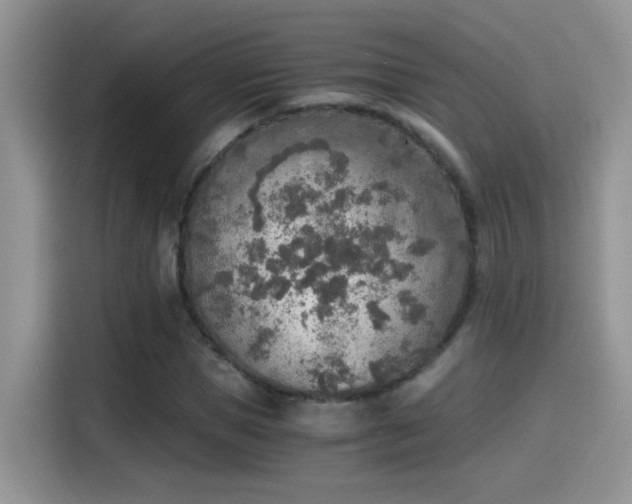 X0000115440921200911121120