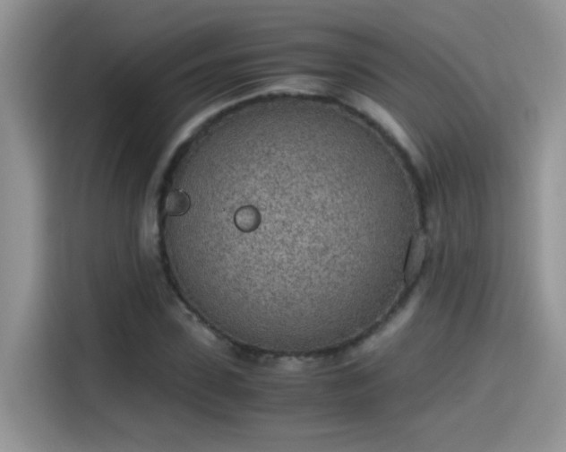 X0000115440923200911121120