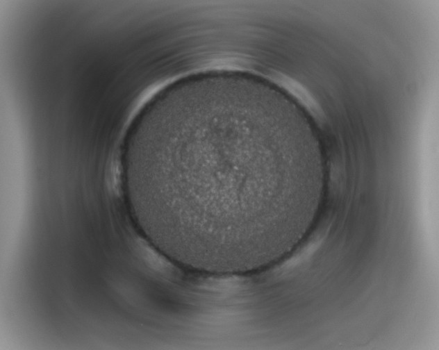 X0000115440926200911121120