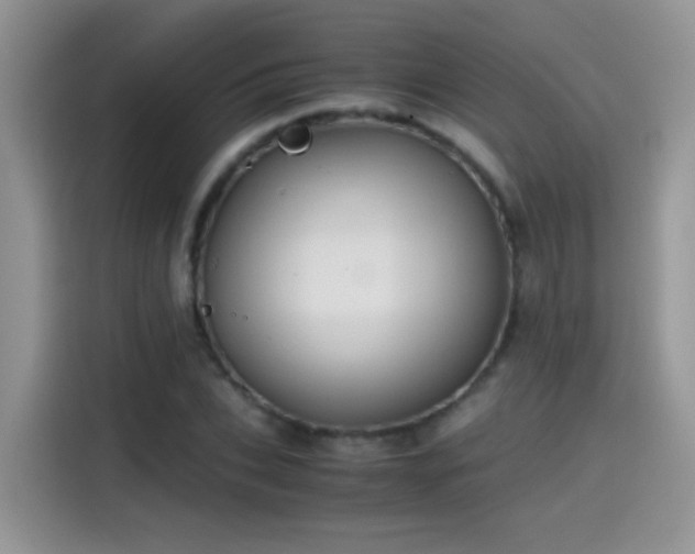 X0000115440927200911121120