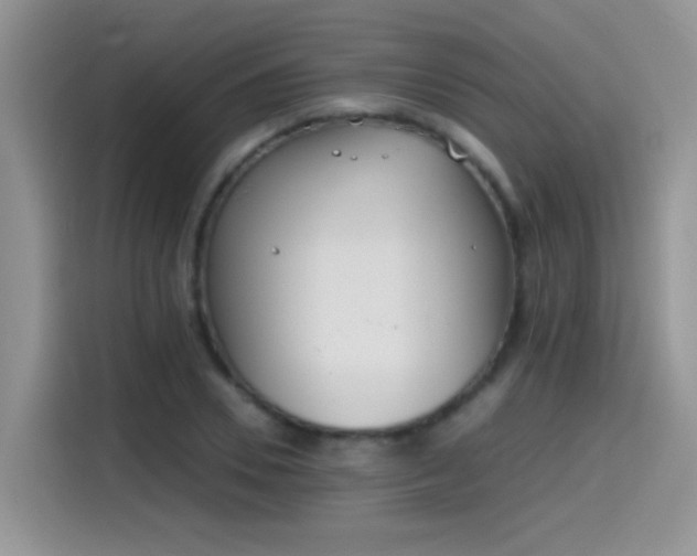 X0000115440930200911121120