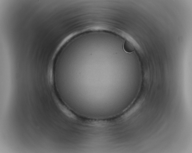X0000115440934200911121120