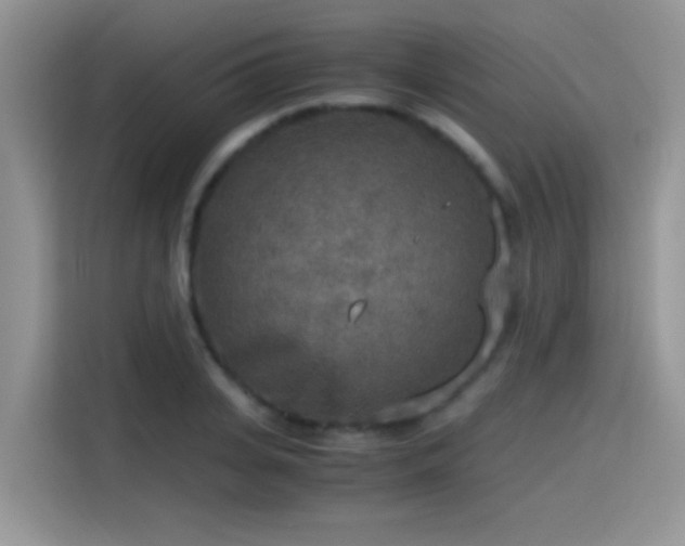 X0000115440935200911121120