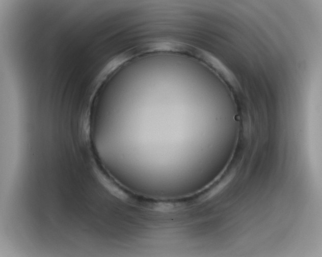 X0000115440938200911121120