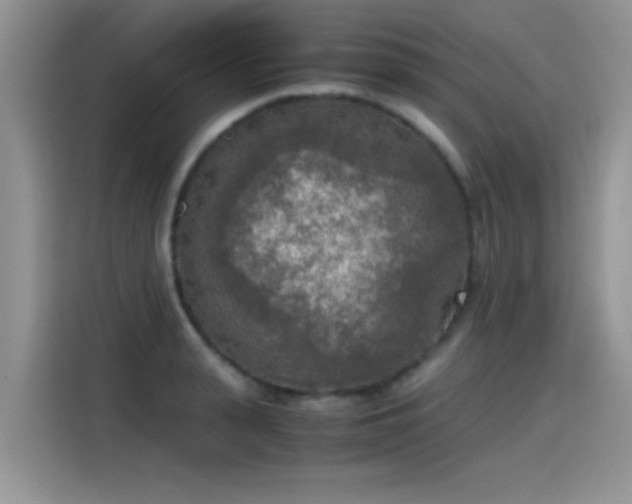 X0000115440943200911121120