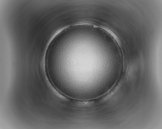 X0000115440949200911121120