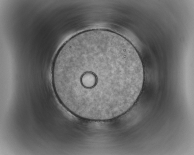 X0000115440950200911121120