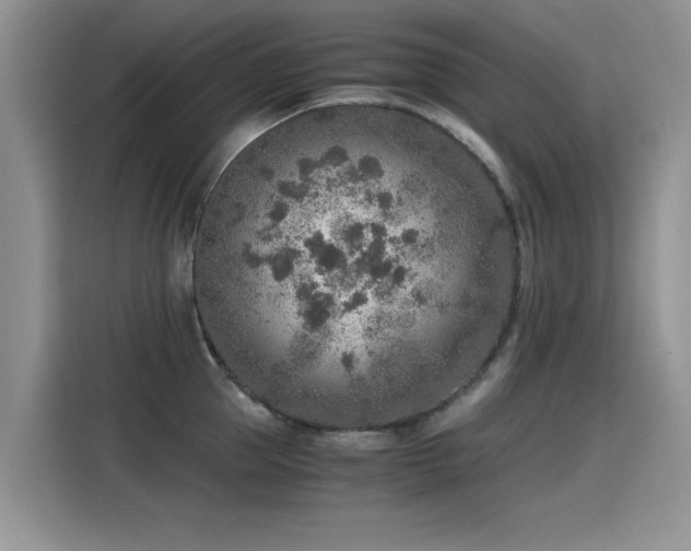 X0000115440953200911121120