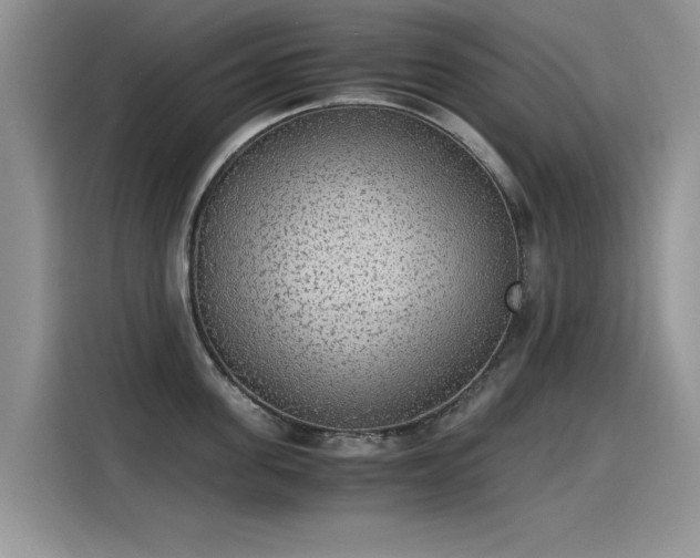 X0000115440955200911121120