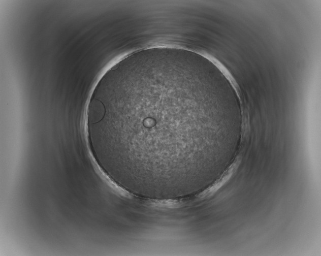 X0000115440957200911121120