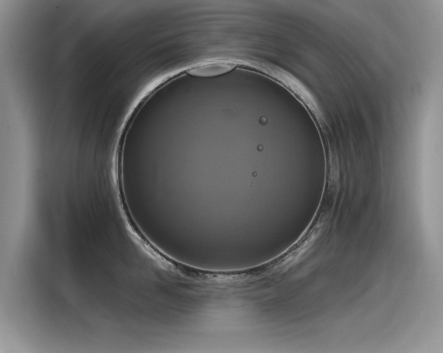 X0000115440958200911121120