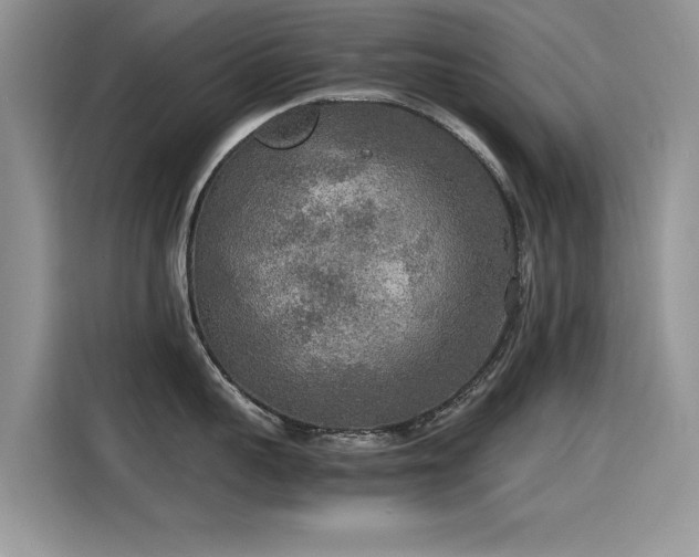 X0000115440959200911121120