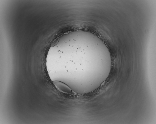 X0000115440961200911121120