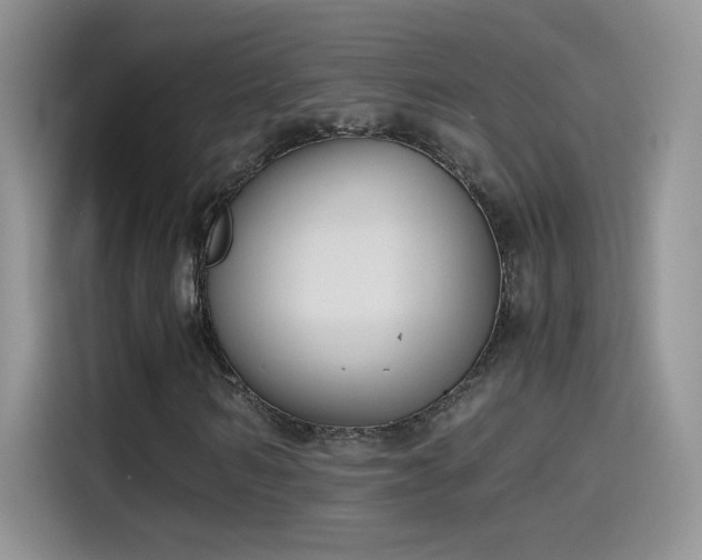 X0000115440962200911121120