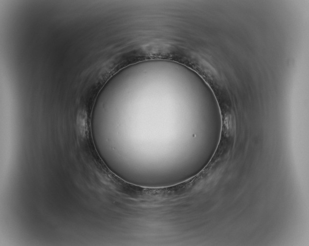 X0000115440963200911121120