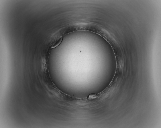 X0000115440964200911121120