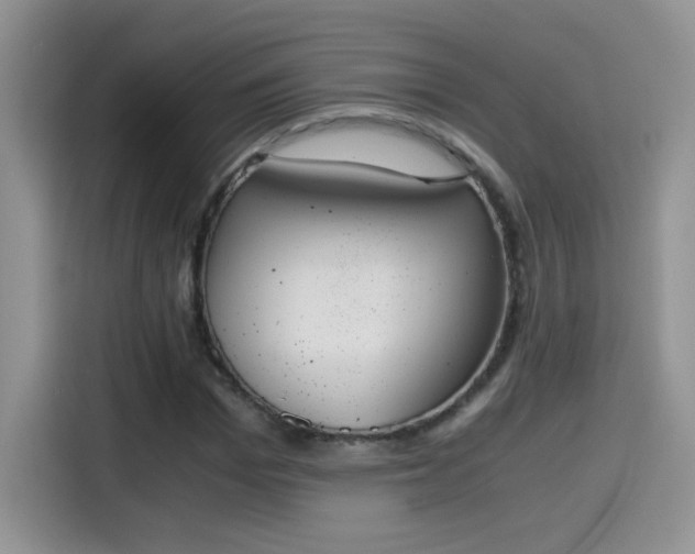 X0000115440969200911121120