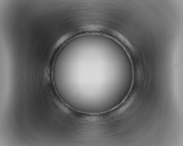 X0000115440970200911121120