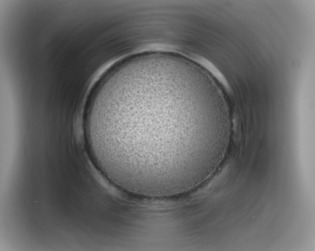 X0000115440972200911121120