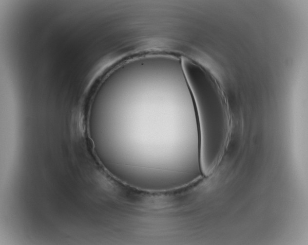 X0000115440973200911121120