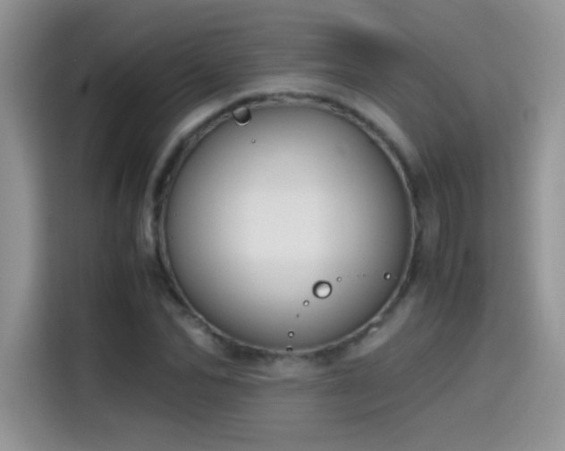 X0000115440974200911121120