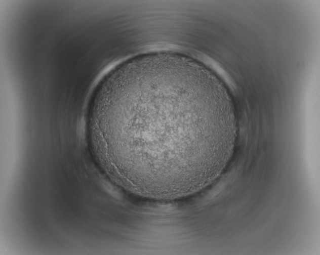 X0000115440975200911121120