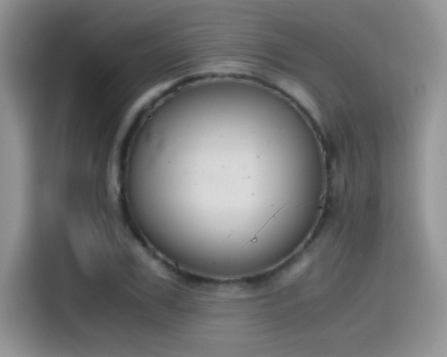 X0000115440979200911121120