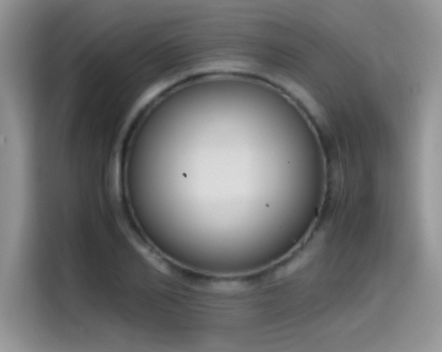 X0000115440982200911121120