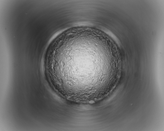 X0000115440983200911121120