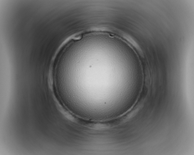 X0000115440984200911121120