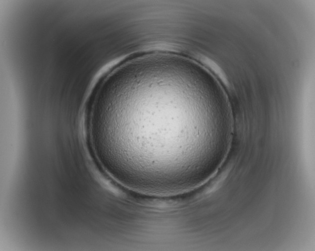 X0000115440987200911121120
