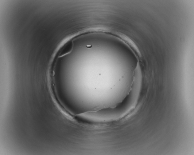 X0000115440989200911121120