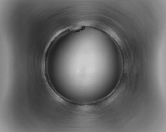 X0000115440992200911121119