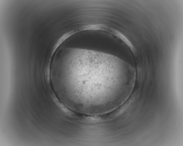 X0000115440994200911121119