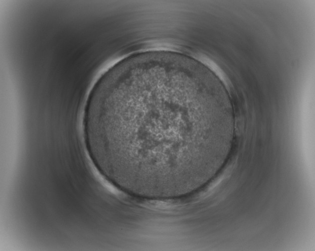 X0000115440995200911121119