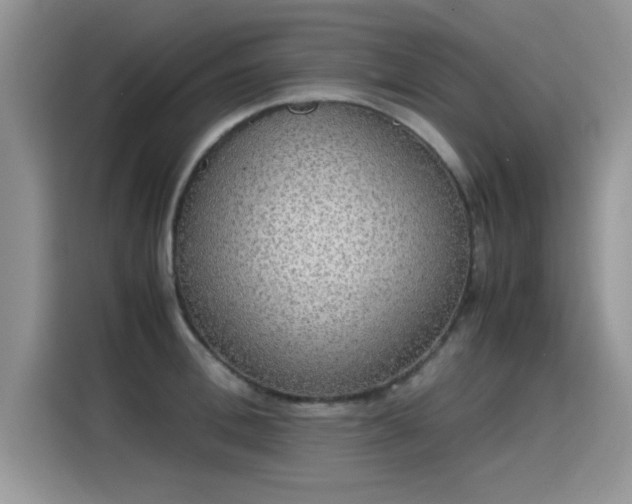 X0000115440996200911121119