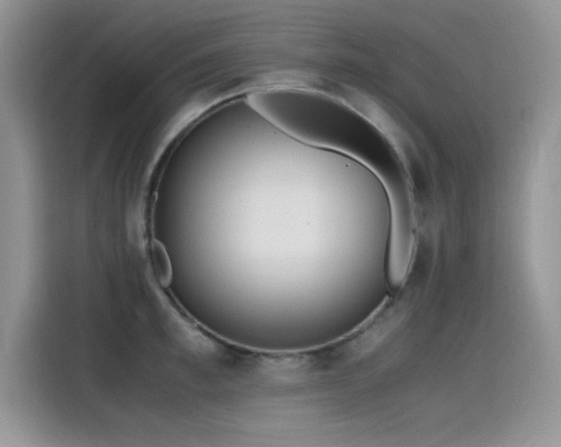 X0000115440997200911121119