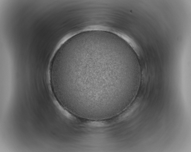 X0000115440998200911121119