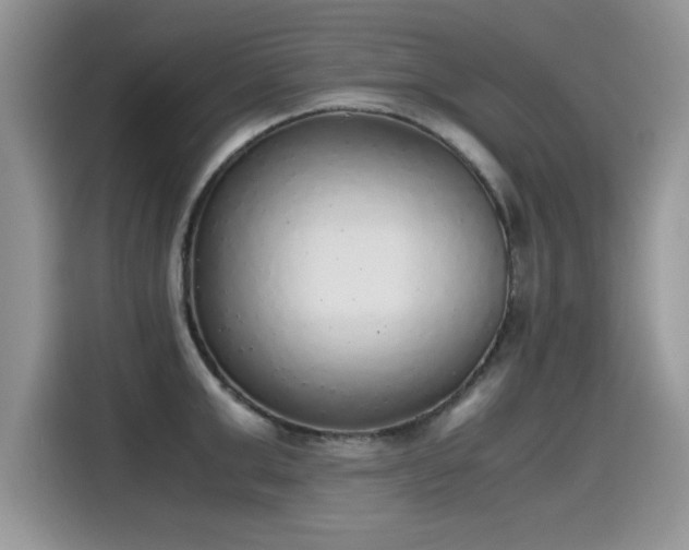 X0000115440999200911121119