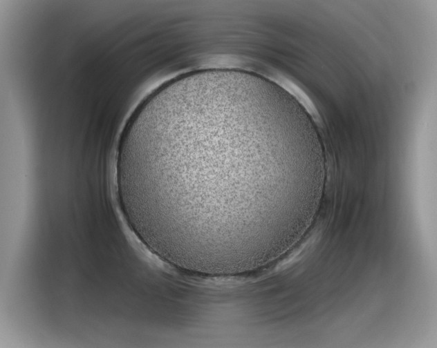 X0000115441000200911121119