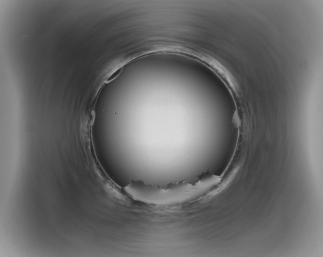 X0000115441001200911121119