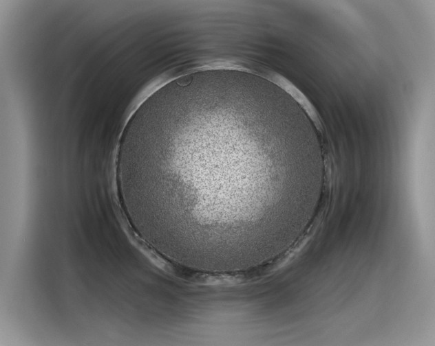 X0000115441002200911121119