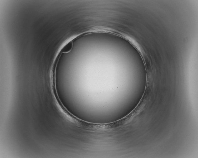 X0000115441003200911121119